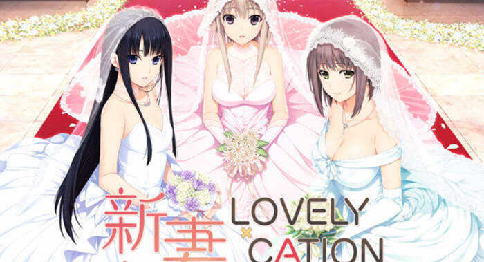 新妻LOVELY×CATION 精翻汉化版+全CG存档 大型ADV游戏-破次元