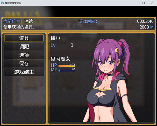 图片[6]-梅尔的魔女试验 官方中文版整合所有DLC PC+安卓 RPG游戏 950M-破次元