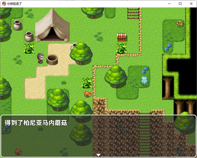 图片[2]-你被驱逐了 官方中文作弊版 PC+安卓 RPG游戏 1.2G-破次元